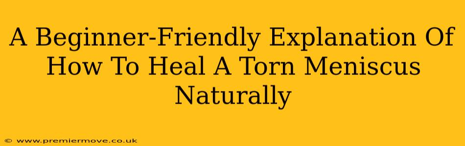A Beginner-Friendly Explanation Of How To Heal A Torn Meniscus Naturally