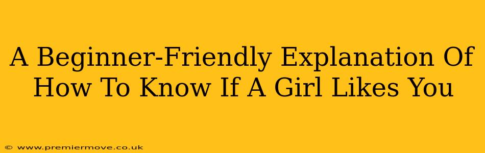 A Beginner-Friendly Explanation Of How To Know If A Girl Likes You
