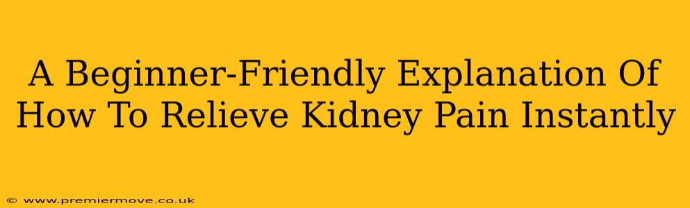 A Beginner-Friendly Explanation Of How To Relieve Kidney Pain Instantly
