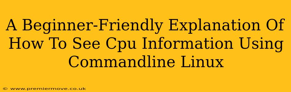 A Beginner-Friendly Explanation Of How To See Cpu Information Using Commandline Linux