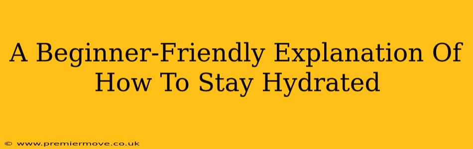 A Beginner-Friendly Explanation Of How To Stay Hydrated