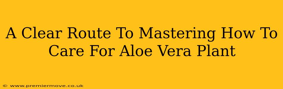 A Clear Route To Mastering How To Care For Aloe Vera Plant