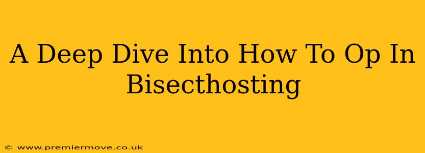A Deep Dive Into How To Op In Bisecthosting