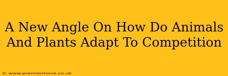 A New Angle On How Do Animals And Plants Adapt To Competition