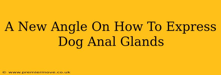 A New Angle On How To Express Dog Anal Glands