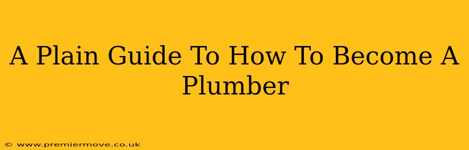A Plain Guide To How To Become A Plumber