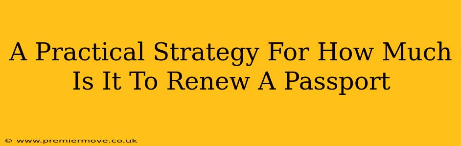 A Practical Strategy For How Much Is It To Renew A Passport