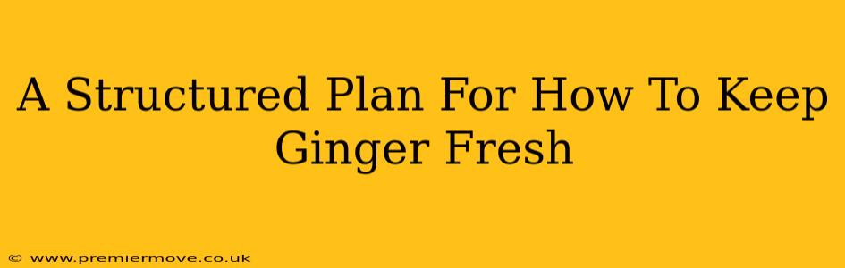 A Structured Plan For How To Keep Ginger Fresh