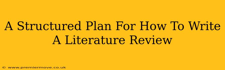 A Structured Plan For How To Write A Literature Review
