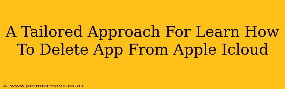 A Tailored Approach For Learn How To Delete App From Apple Icloud