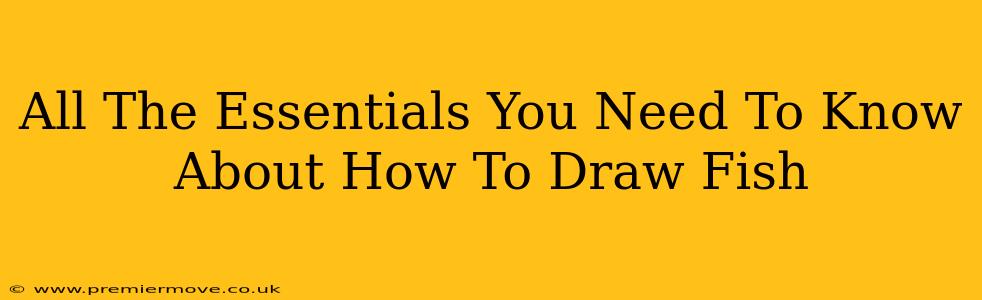 All The Essentials You Need To Know About How To Draw Fish