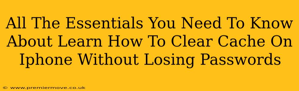 All The Essentials You Need To Know About Learn How To Clear Cache On Iphone Without Losing Passwords
