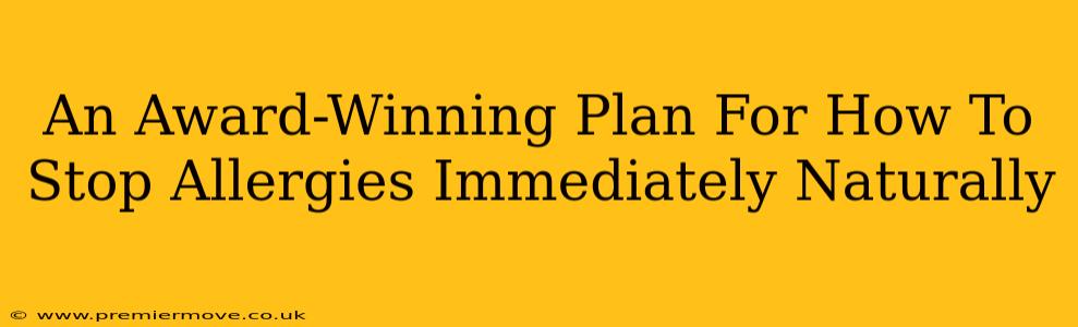 An Award-Winning Plan For How To Stop Allergies Immediately Naturally