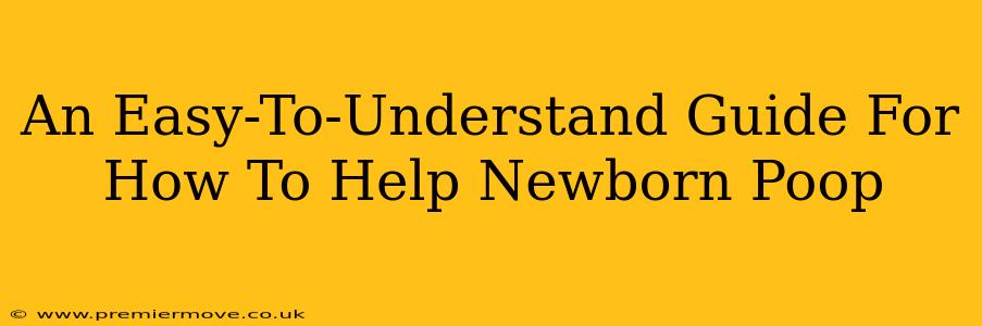 An Easy-To-Understand Guide For How To Help Newborn Poop