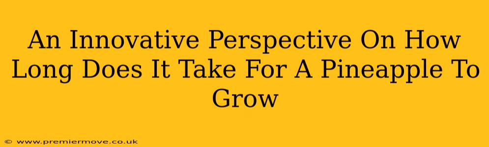 An Innovative Perspective On How Long Does It Take For A Pineapple To Grow