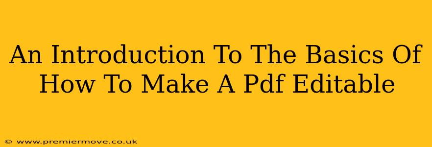 An Introduction To The Basics Of How To Make A Pdf Editable