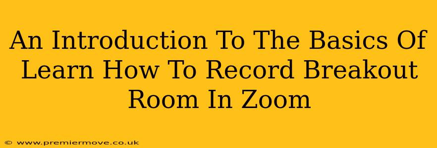 An Introduction To The Basics Of Learn How To Record Breakout Room In Zoom