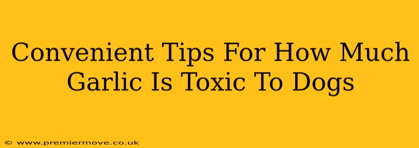 Convenient Tips For How Much Garlic Is Toxic To Dogs
