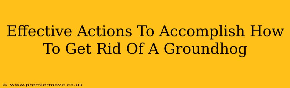 Effective Actions To Accomplish How To Get Rid Of A Groundhog