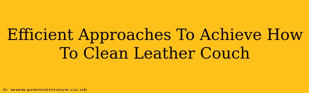 Efficient Approaches To Achieve How To Clean Leather Couch