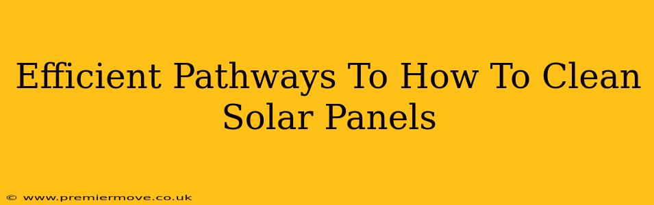 Efficient Pathways To How To Clean Solar Panels