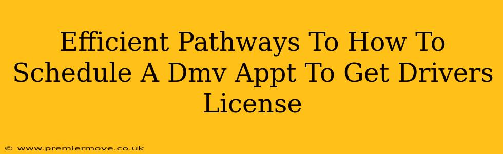 Efficient Pathways To How To Schedule A Dmv Appt To Get Drivers License