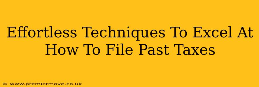 Effortless Techniques To Excel At How To File Past Taxes
