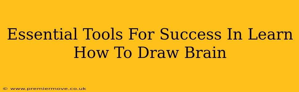 Essential Tools For Success In Learn How To Draw Brain