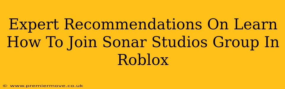 Expert Recommendations On Learn How To Join Sonar Studios Group In Roblox