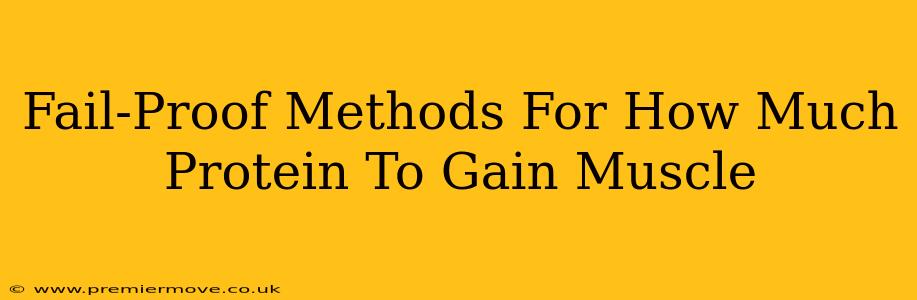 Fail-Proof Methods For How Much Protein To Gain Muscle
