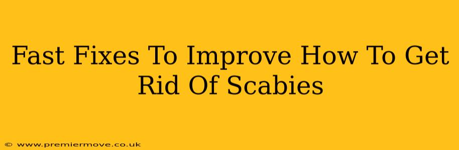 Fast Fixes To Improve How To Get Rid Of Scabies