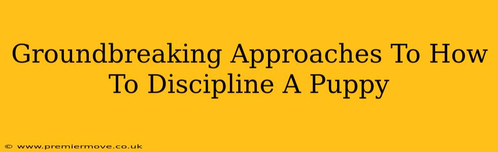Groundbreaking Approaches To How To Discipline A Puppy