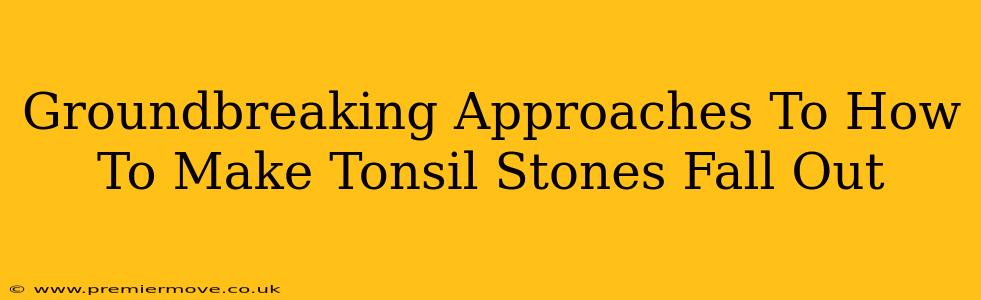 Groundbreaking Approaches To How To Make Tonsil Stones Fall Out