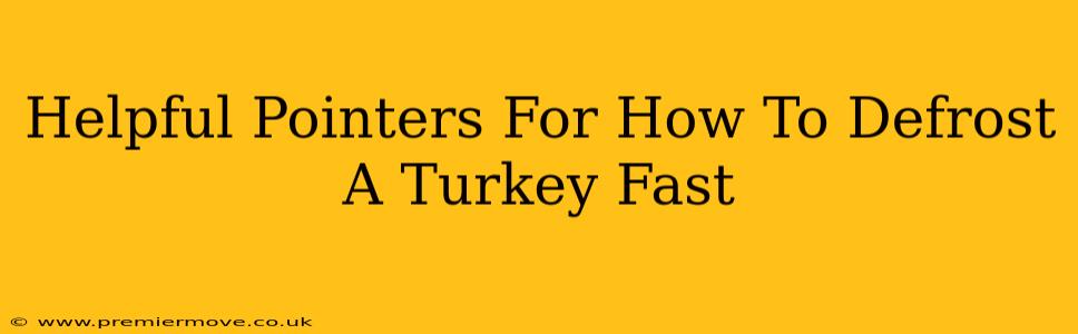 Helpful Pointers For How To Defrost A Turkey Fast