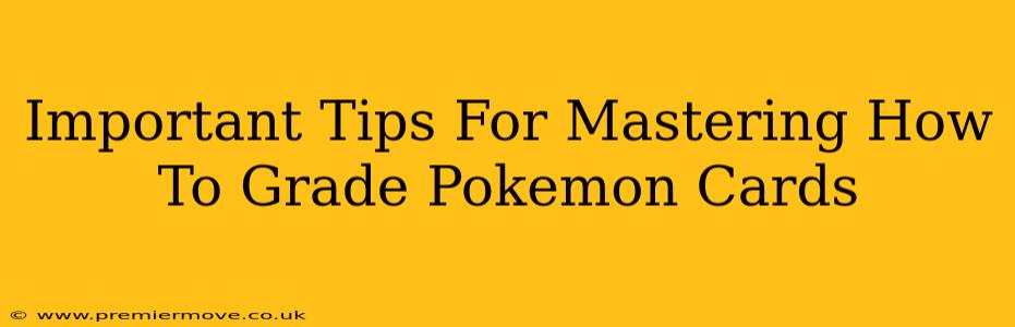 Important Tips For Mastering How To Grade Pokemon Cards