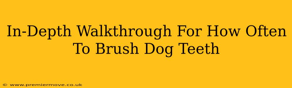 In-Depth Walkthrough For How Often To Brush Dog Teeth