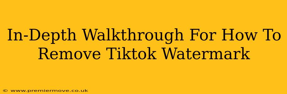 In-Depth Walkthrough For How To Remove Tiktok Watermark
