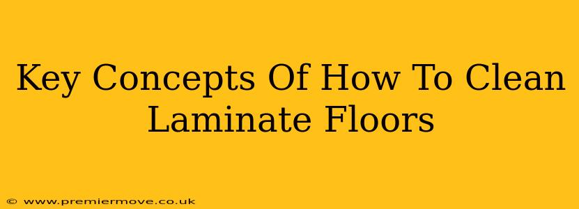 Key Concepts Of How To Clean Laminate Floors