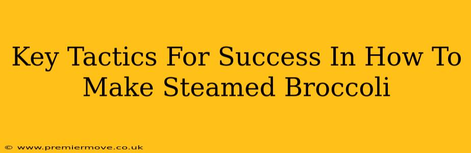 Key Tactics For Success In How To Make Steamed Broccoli