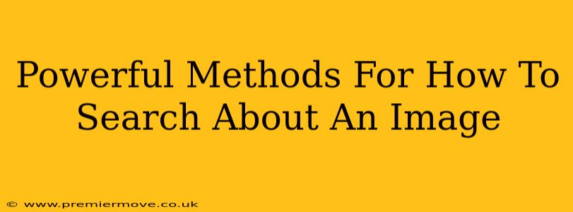 Powerful Methods For How To Search About An Image