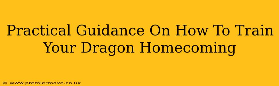 Practical Guidance On How To Train Your Dragon Homecoming
