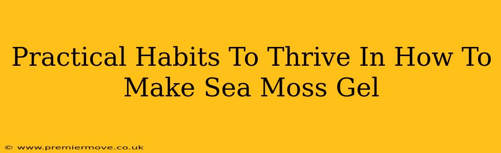 Practical Habits To Thrive In How To Make Sea Moss Gel