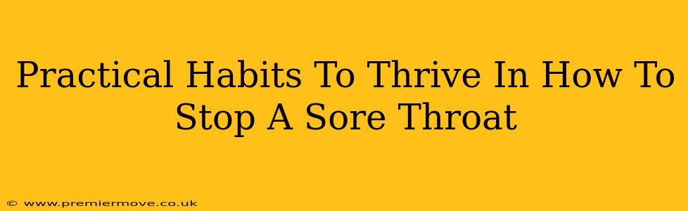 Practical Habits To Thrive In How To Stop A Sore Throat