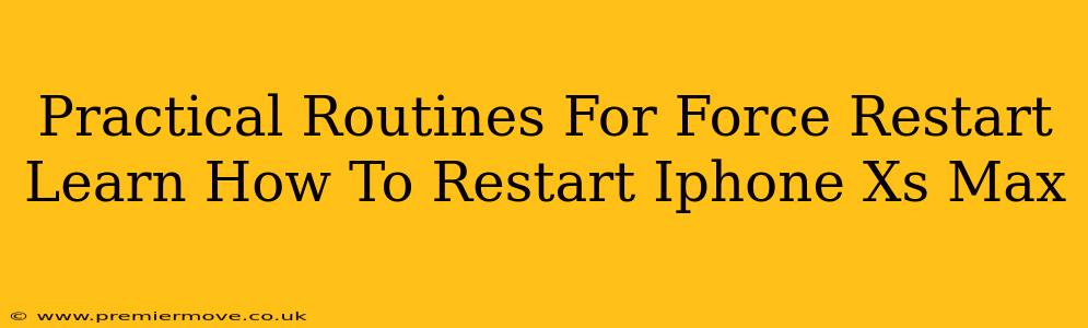 Practical Routines For Force Restart Learn How To Restart Iphone Xs Max