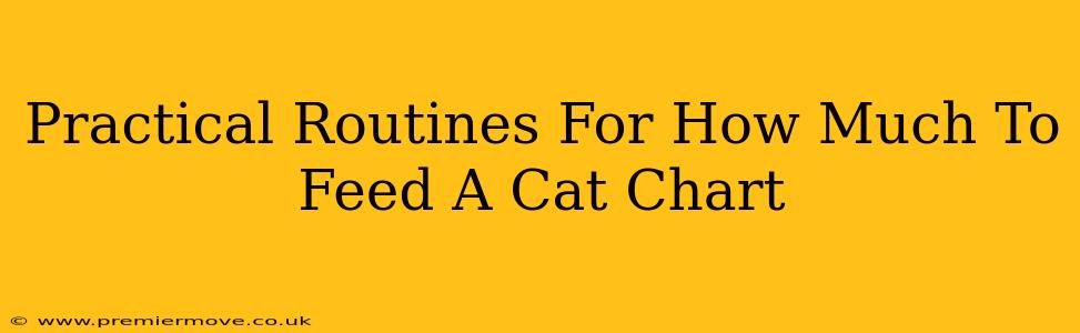 Practical Routines For How Much To Feed A Cat Chart
