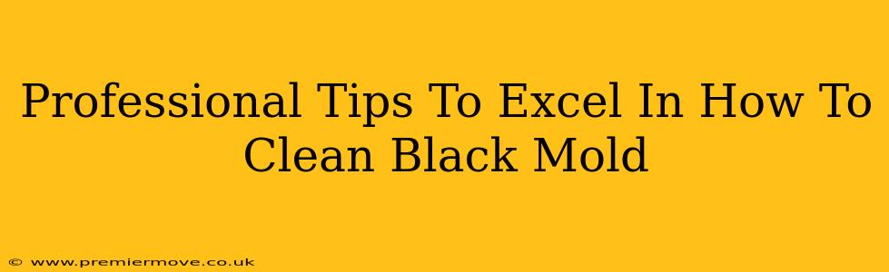 Professional Tips To Excel In How To Clean Black Mold