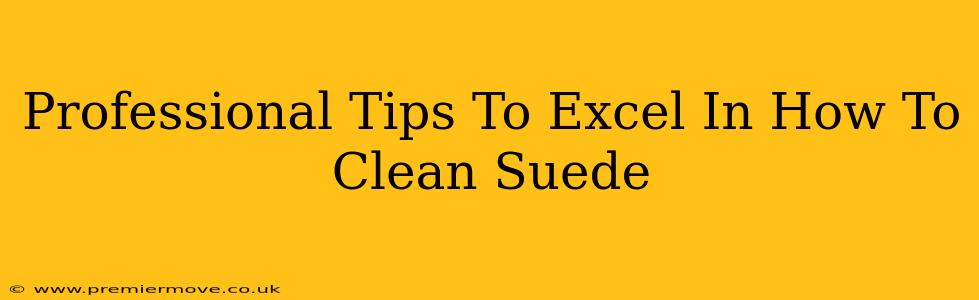 Professional Tips To Excel In How To Clean Suede