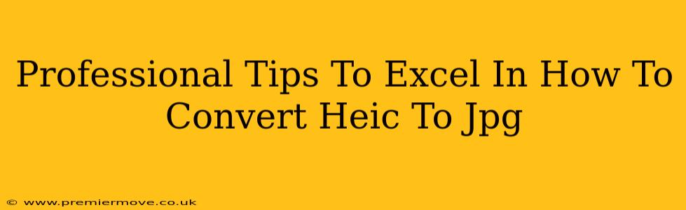 Professional Tips To Excel In How To Convert Heic To Jpg