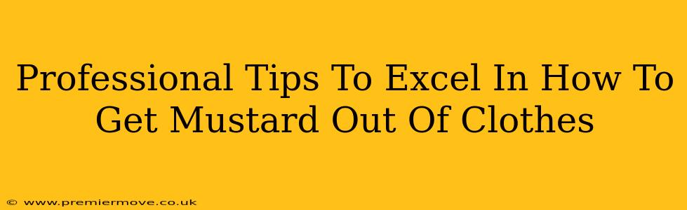 Professional Tips To Excel In How To Get Mustard Out Of Clothes