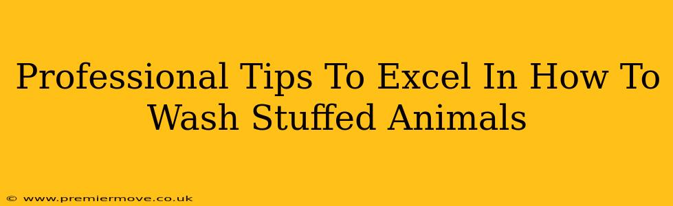 Professional Tips To Excel In How To Wash Stuffed Animals